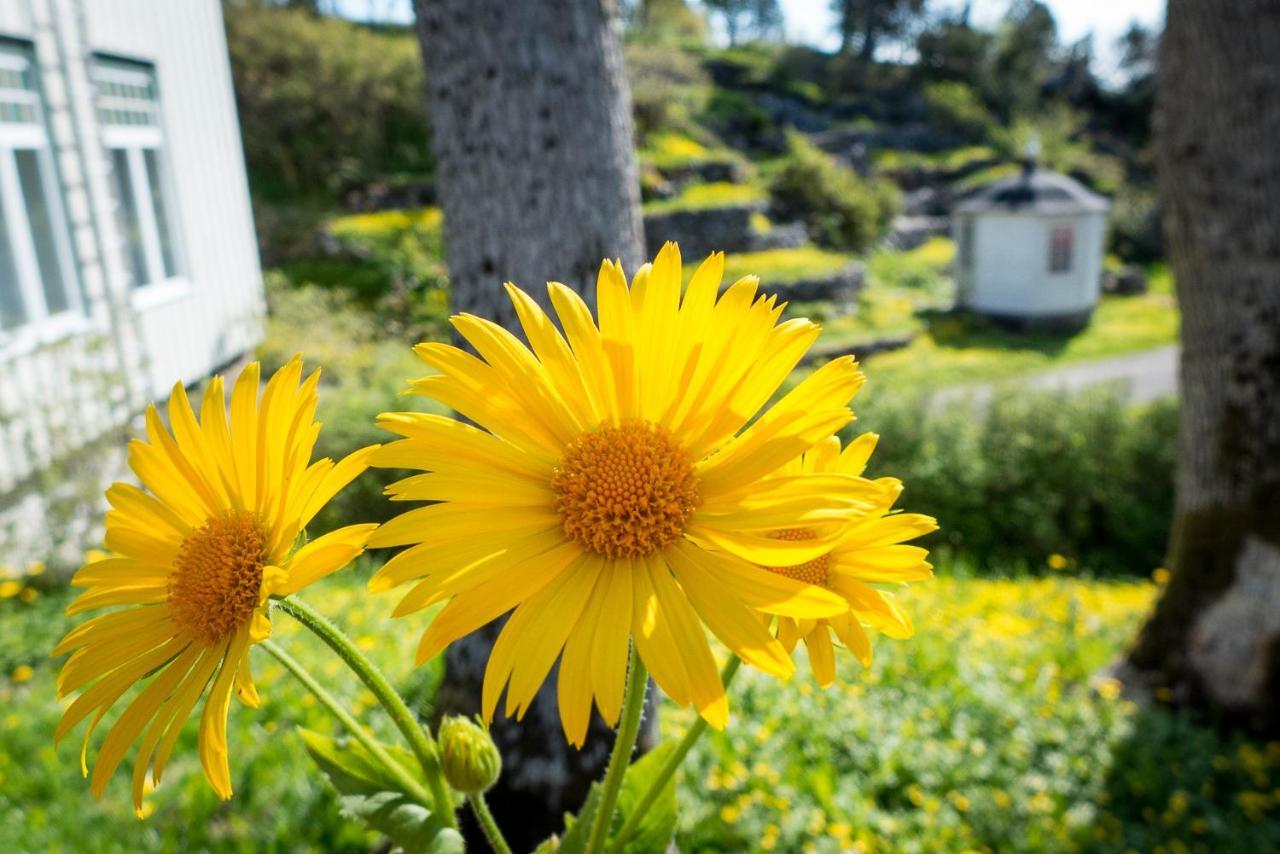 Lofoten Sommerhotell Og Vandrerhjem Kabelvåg 外观 照片